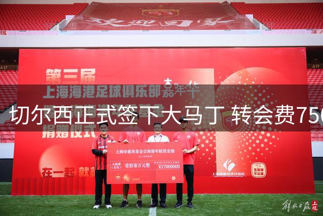 切尔西正式签下大马丁 转会费750万镑交易落定